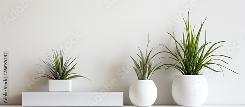 Two elegant white ceramic vases displayed on a wooden shelf, each adorned with vibrant green plants