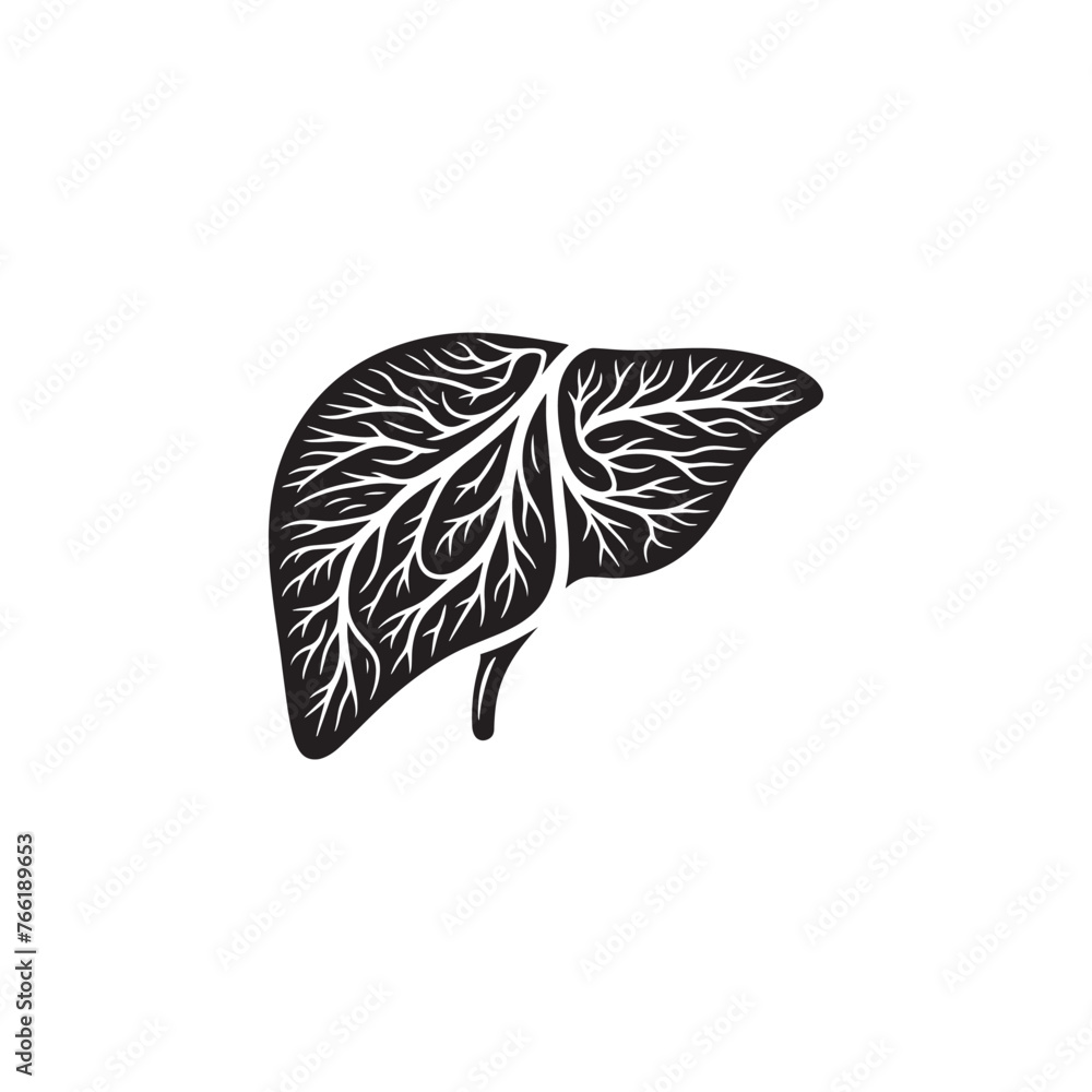 Human Liver Silhouette Vector: Depicting the Organ's Shape and Function ...