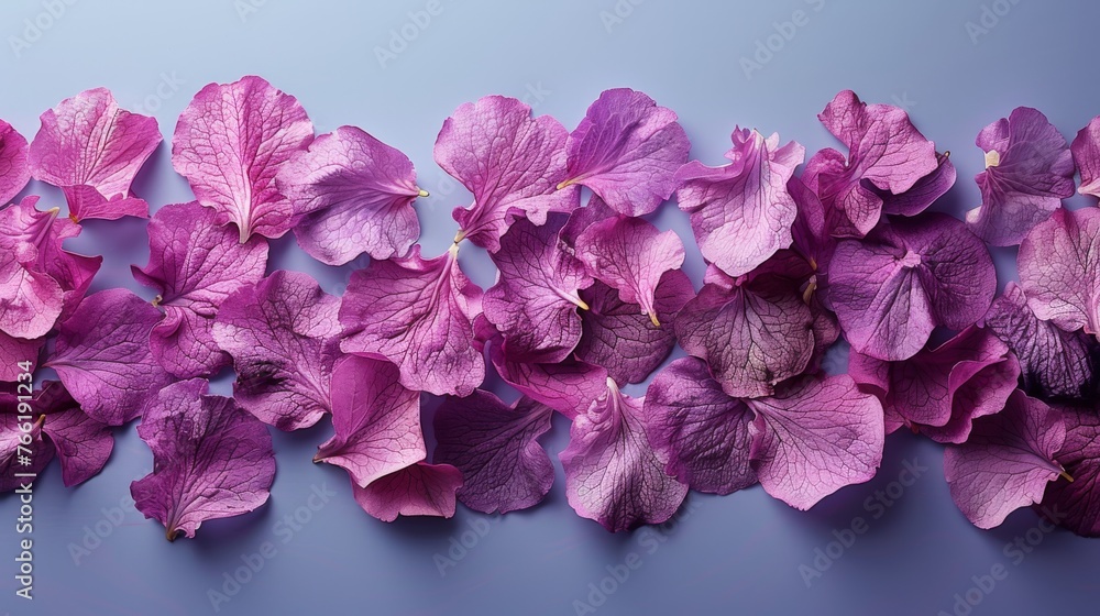  a bunch of purple flowers laying on top of a blue surface with one flower in the middle of the frame.