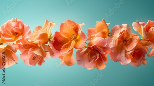  a group of orange flowers sitting next to each other on a blue background with a blue sky in the background.