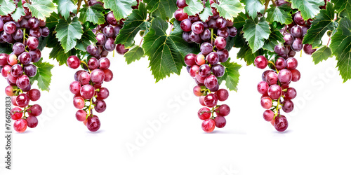 red grapes on a branch with leaves isolated on a white background. generative ai 