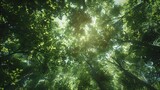 Lush Green Canopy Under Sunlight, Nature's Tranquility Captured, Perfect for Eco-Themed Projects. AI