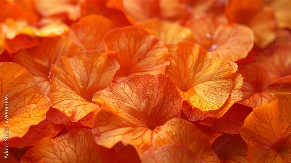  a bunch of orange and yellow flowers that are in a vase on a table with water droplets on the petals.