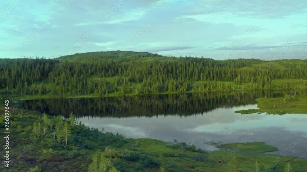 flying around a small pond in the forrest flying around a small pond in the forrest