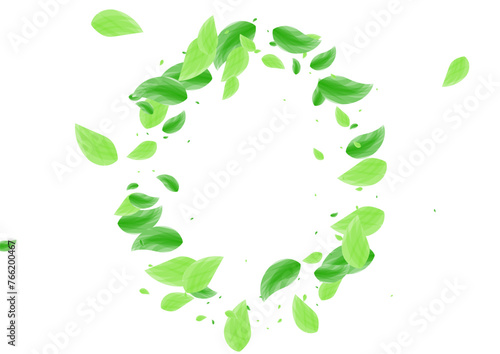 Light Green Leaves Background White Vector. Sheet Branch Frame. Rustic Design. Greenish Sprout Illustration. Leaf Grow.