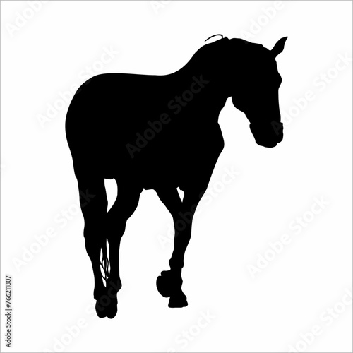 Silhouette of a horse
