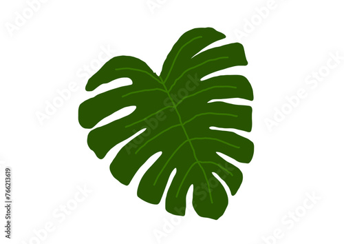 南国植物