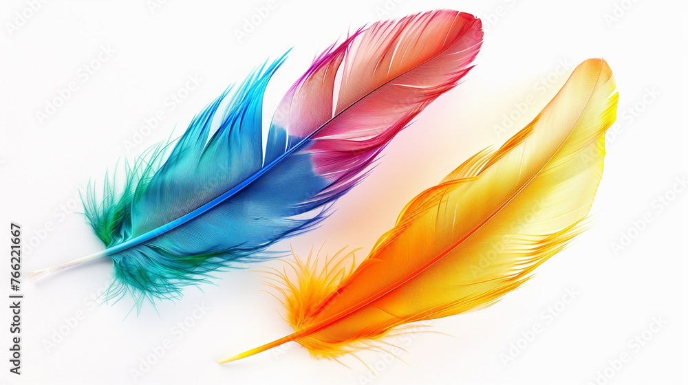 Colorful feathers isolated on white background. Colorful feathers isolated on white background.
