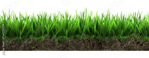 green grass turf isolated on white background photo
