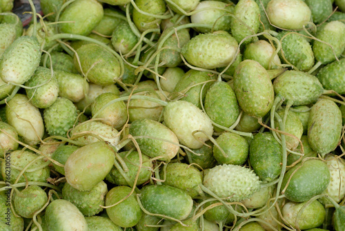 Amsterdam Zuidoost Burr Gherkin - Surinaamse wilde augurk - Cucumis anguria for sale on a market.