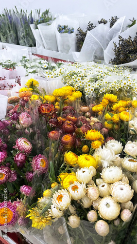 flowers in the garden at Suanluang Rama 9 Bangkok Thailand.