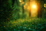 Green grass in summer forest at sunset. Macro image, shallow depth of field. Abstract summer nature background