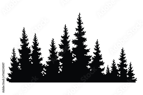 Fir trees silhouette. Coniferous spruce horizontal background pattern, black evergreen woods vector illustration. Beautiful hand drawn panorama of coniferous forest photo
