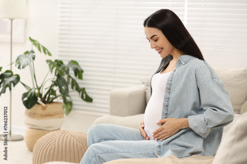 Happy pregnant woman on sofa at home, space for text Happy pregnant woman on sofa at home, space for text