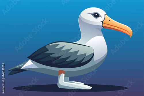 albatross vector illu stration e.eps photo