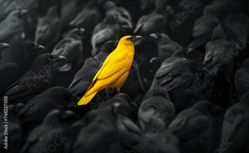The Yellow Crow's Leadership Amidst Black