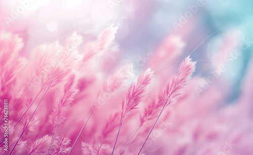 Trendy Nature: Fluffy Background with Copy Space