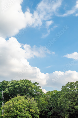 雲と青空と新緑の木々 © O.A