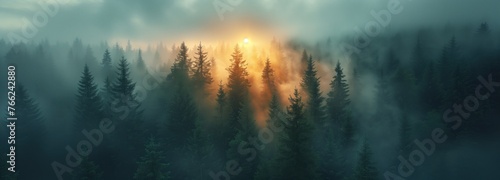 Ultrawide Foggy Tree Tops Forest With Sunset Background 