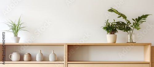 A pair of decorative vases in different sizes are displayed on a wooden shelf next to a lush green plant