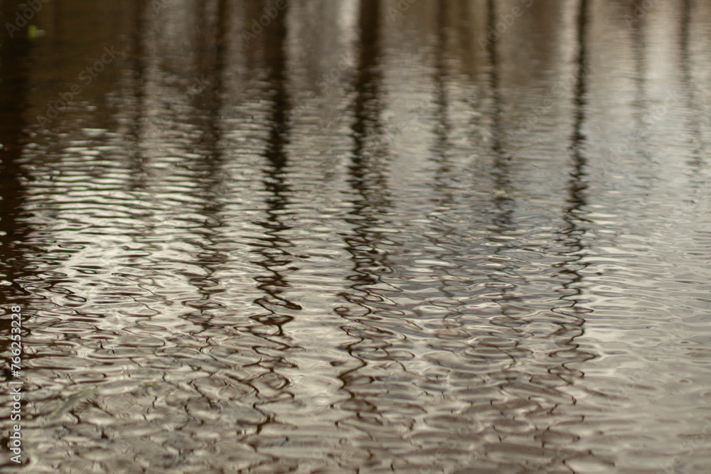 Water in spring. Waves on surface. Spring puddle. Details of nature. Water in spring. Waves on surface. Spring puddle. Details of nature.