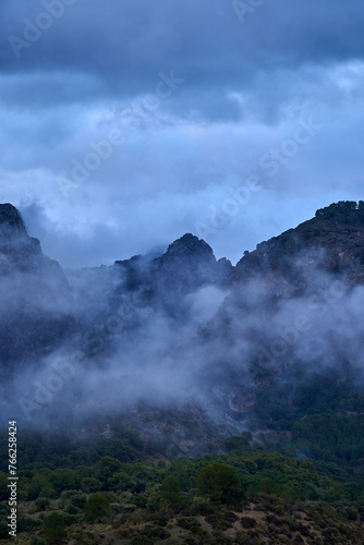 Spain Andalucia spring surrounding lonely tree mountains clouds tunnel
