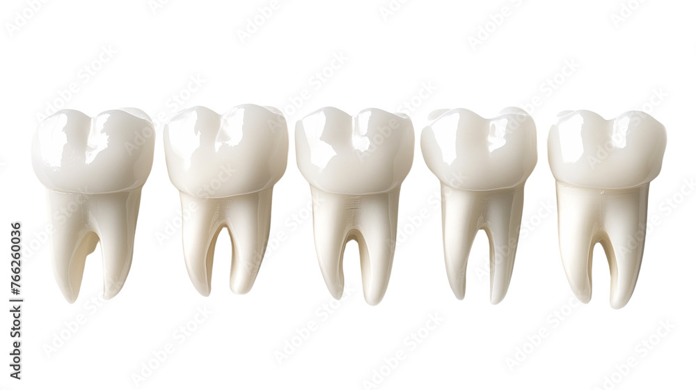 Teeth isolated with transparent background Teeth isolated with transparent background