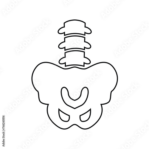 coccyx vector illustration on white background