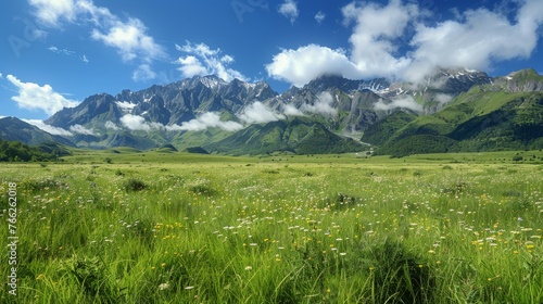 Field of Flowers With Mountains in Background