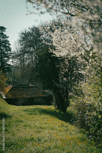 Village de saint-Sauveur-en-Puisaye, village de Colette l'écrivaine, Bourgogne, France photo