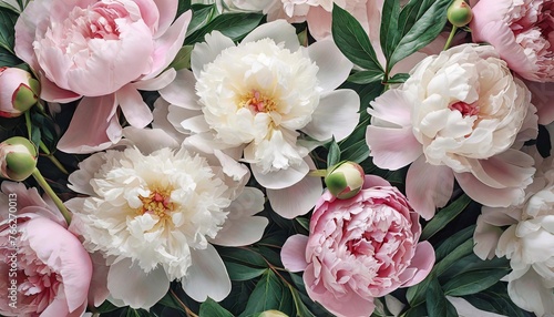 pink and white flowers