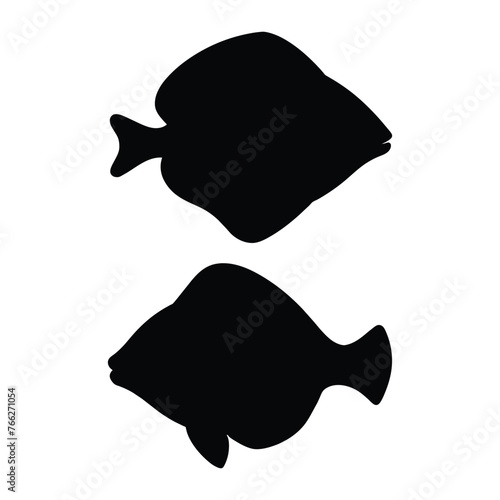 silhouette of a turbot fish on white