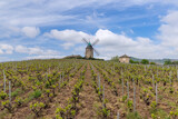 Windmill (Moulin a vent de Romaneche-Thorins), Chenas, Beaujolais, Saone-et-Loire, Bourgogne-Franche-Comte, France