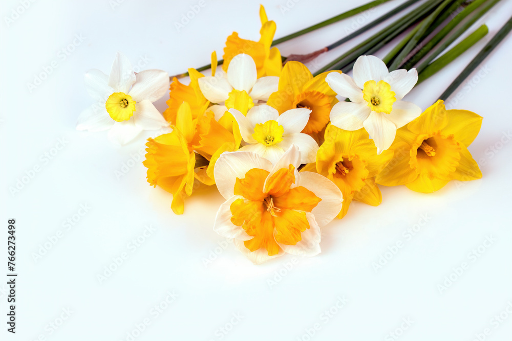 Fototapeta premium Beautiful bouquet of yellow and white daffodils isolated on a white background, Greeting card. copy space