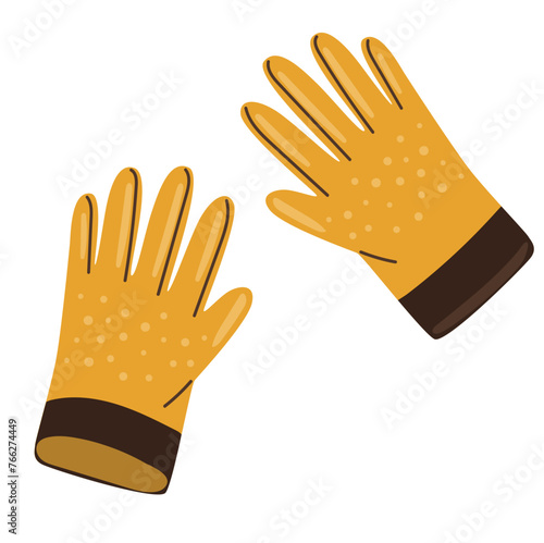 Gardening gloves, tools for working in the garden