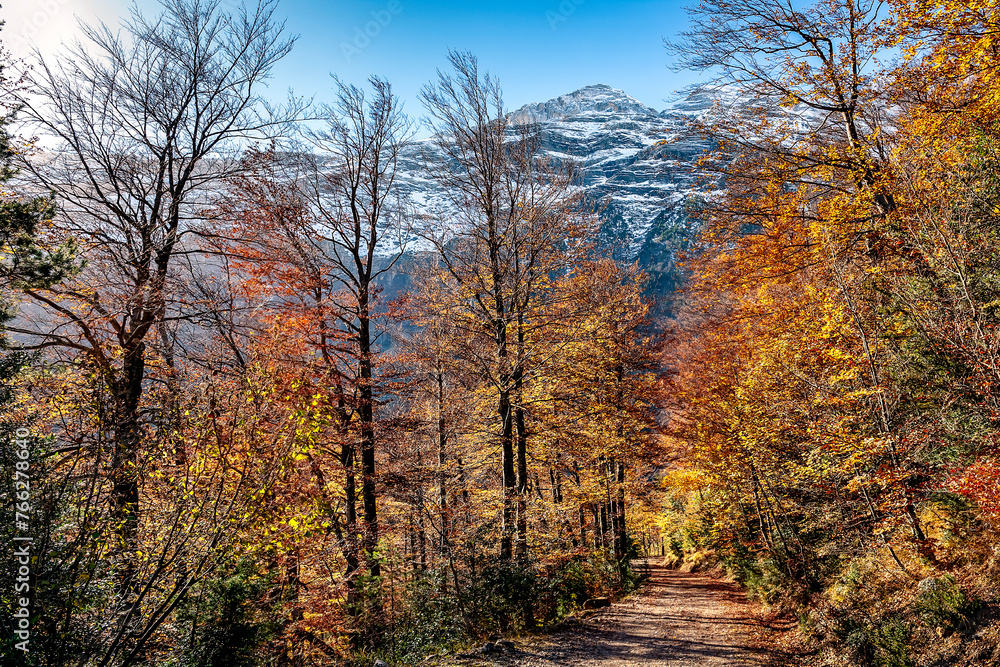 Otoño en el Valle de La Pineta