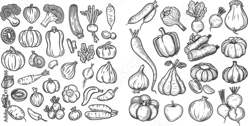 Hand drawn vegetables