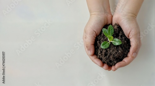 Horizontal AI illustration nurturing young plant in hands. Concept plants and flowers.