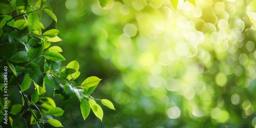 green leaves branches from trees in the morning dew at sunrise against the background of a defocused blur effect green leaves branches from trees in the morning dew at sunrise against the background of a defocused blur effect