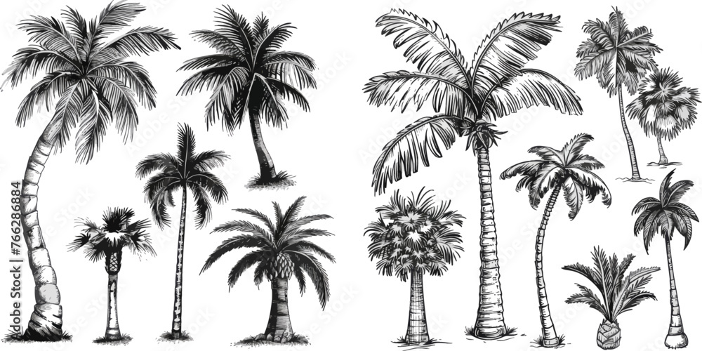 Retro tropical coconut trees, vintage miami palms vector illustration set.
