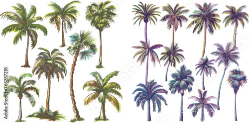 Hand drawn tropical palm trees