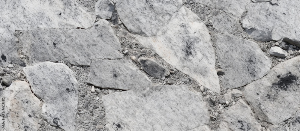 Fototapeta premium A close up of a monochrome rock outcrop with various rocks and soil, showcasing the intricate pattern of the bedrock on a steep slope
