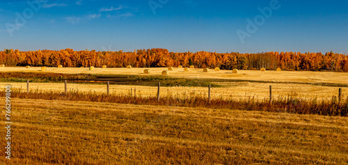Hay bales in a fall harvested field. Rockyview County, Alberta, Canada