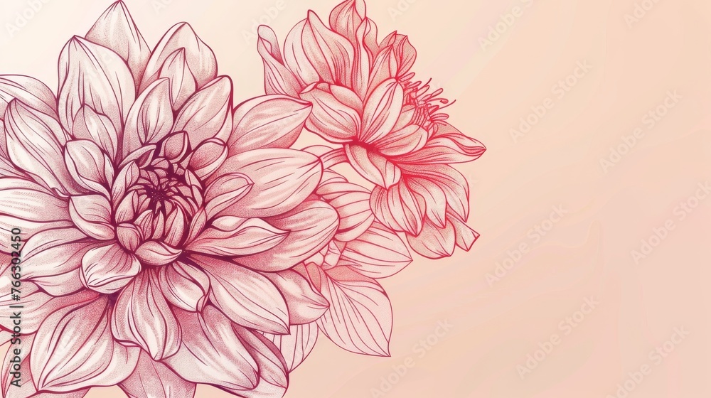 The drawing of a flower dahlia on a floral background. Modern illustration.