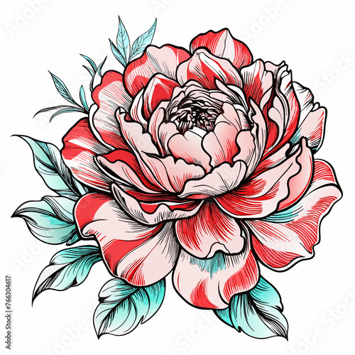 illustration of red rose