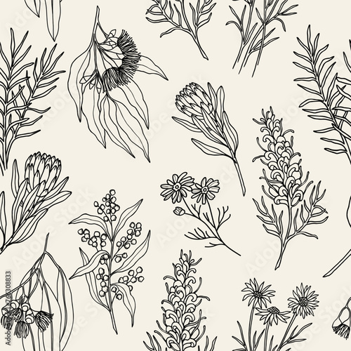 Hand drawn Australian native flowers and plants background
