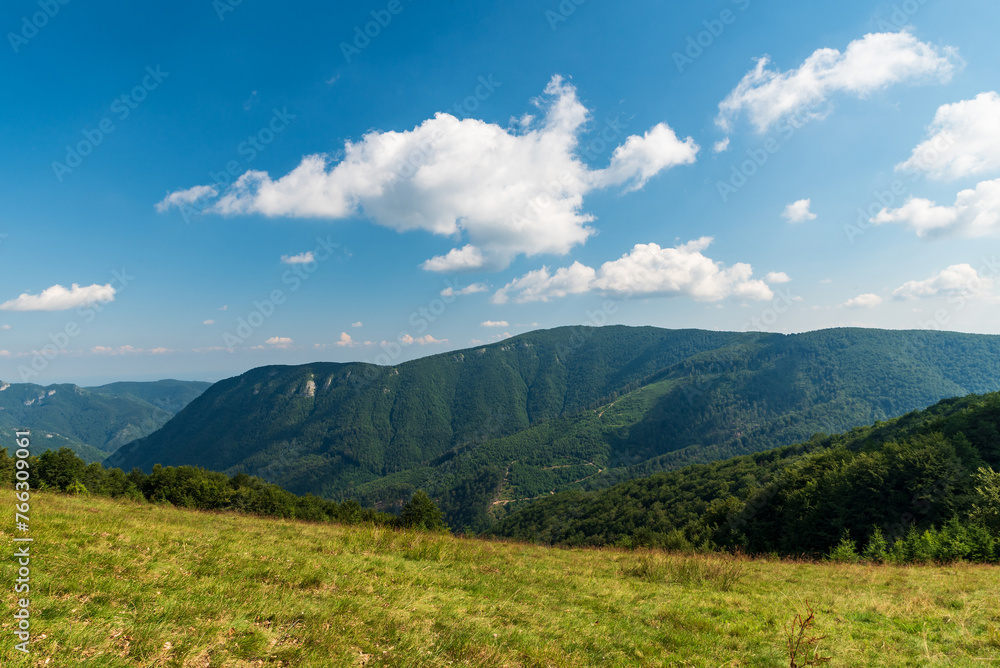 Wild Carpathian mountains in Romania covered by meadows, forest and few rock formations from Valcan mountains