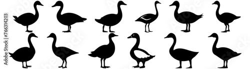 Duck hunting silhouette set vector design big pack of illustration and icon