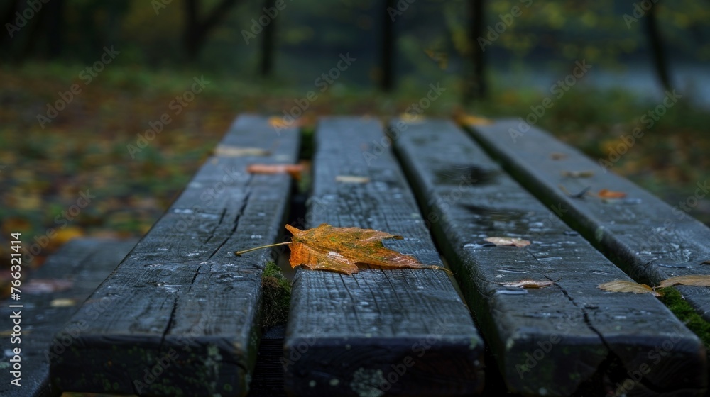Fototapeta premium Wet Autumn Bench in Secluded Park