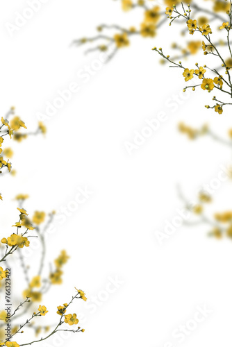 Floral Transparent PNG Spring overlays